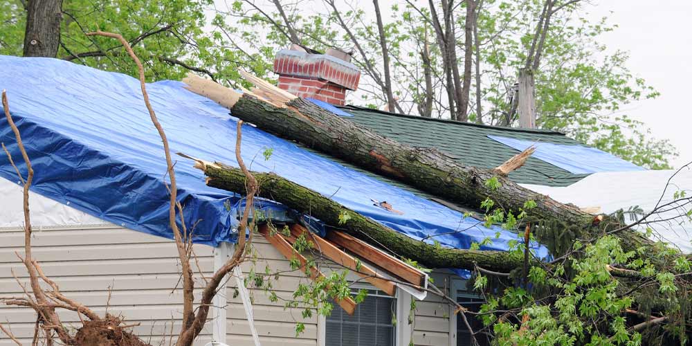 Brewster Roofing Storm Damage Repair Expert