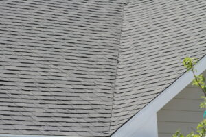 Eco-Friendly Roofing Choices in Lee's Summit