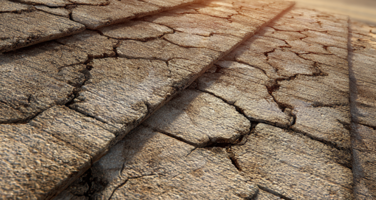 Extreme Heat Damage Repair Expert in Gardner