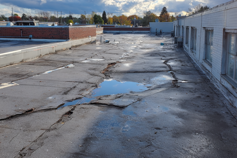 Commercial Roofing Problem Expert