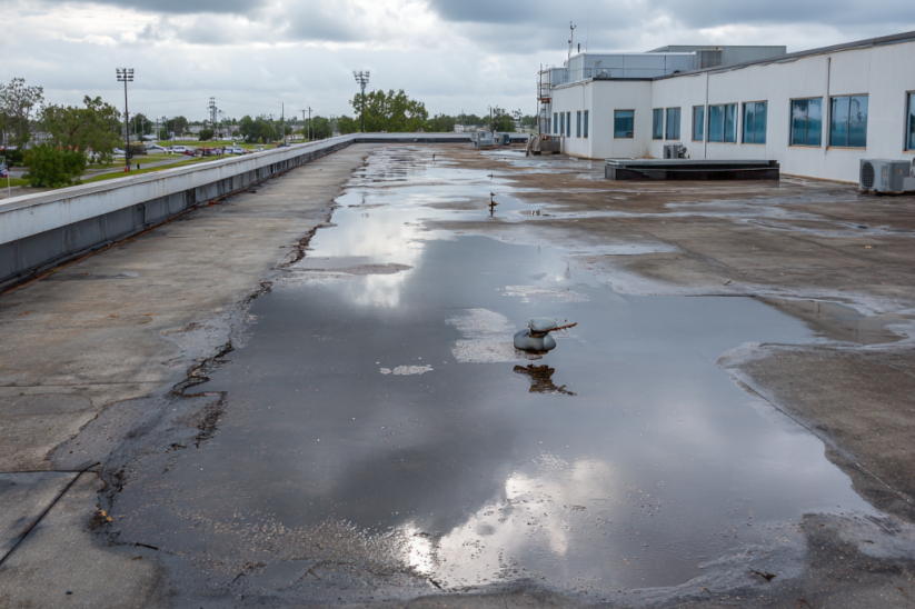 Commercial Roofing Problem Expert
