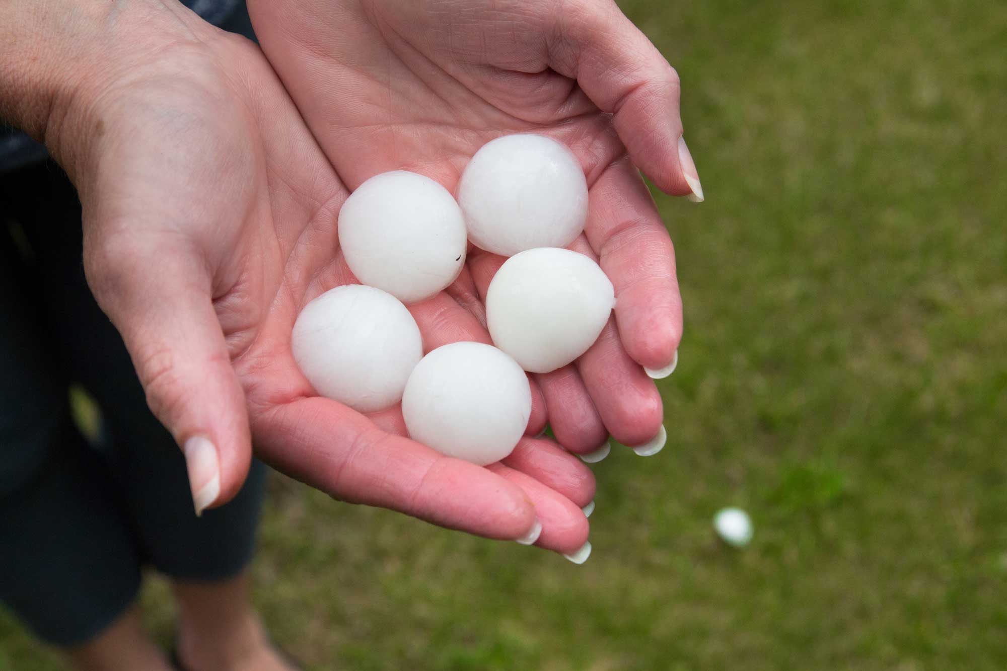 Hail Damage Roof Expert