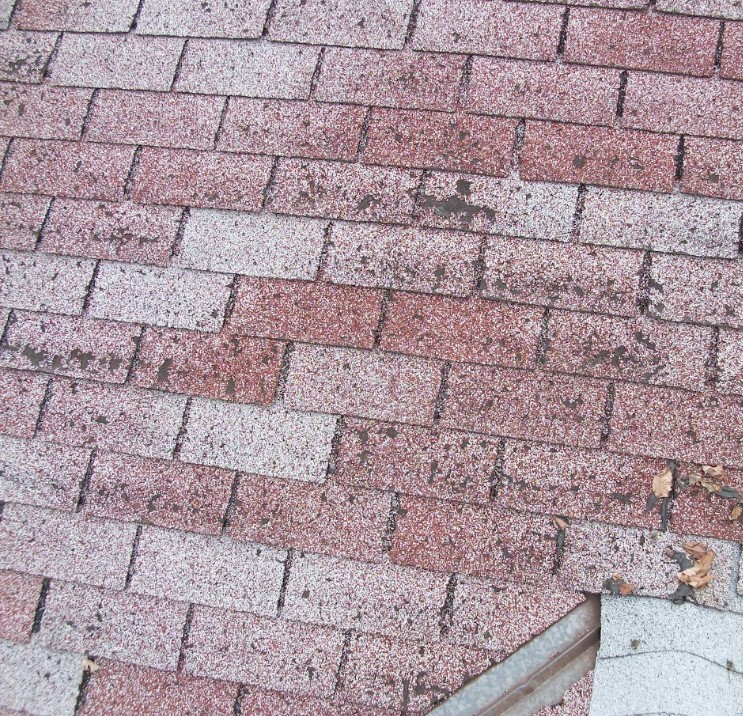 algae stains on roof